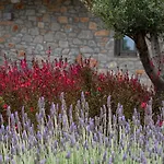 Hotel Kb Ammos (adults Only) Skiathos-stad