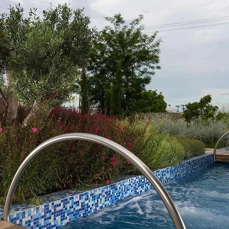 Kb Ammos (adults Only)