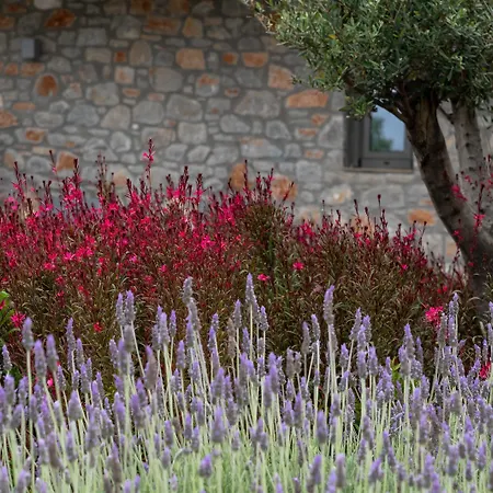 酒店 Kb Ammos (adults Only) 斯基亚索斯镇