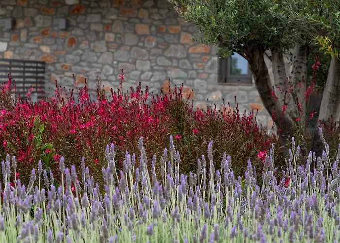 Hotel Kb Ammos (adults Only) Città di Skiathos